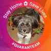 Doris Maddison Emerson - @doris.maddison.em - TikTok
