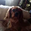 dorieemmerich - @dorieemmerich - TikTok