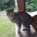 Doris Emmerich - Facebook