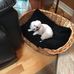 Doris Emond - Facebook