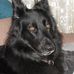 Doris Emrich - Facebook