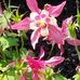 Doris Engel - Facebook