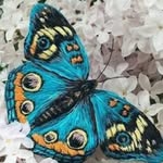 Doris F. Engel - @dorisengel1 - Instagram