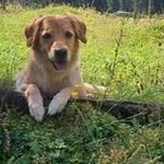 Doris Engelhardt - @doris.engelhardt.1 - Instagram