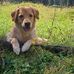 Doris Engelhardt - Facebook