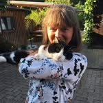 Doris Engelhardt - @tortenschachtel - Instagram