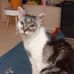 Doris Erb - Facebook