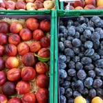 Doris Erbacher - @doriserbacher - Instagram