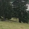 doriserbann - @doriserbann - TikTok