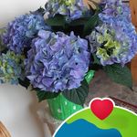 Doris Ernst - @ernstdoris - Instagram