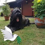 Doris Ernst - @dorisernst1234 - Instagram