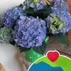 dorisernst5 - @dorisernst5 - TikTok