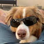 Doris Eschbach - @doriseschbach - Instagram