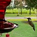 Doris Essary Glassmeyer - Facebook