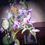 Doris Esteban - @dorisesteban05 - Instagram