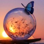 Doris Evers - @doris.e.evers - Instagram