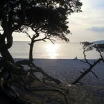 Doris Sievers - @doris_sievers - Instagram