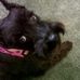 Doris Fairchild - Facebook