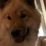 Doris - @doris.farber.9465 - Instagram