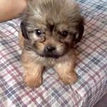 doris farfan portilla - @dorisfarfanporti - Instagram