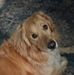 Doris Farrington - Facebook