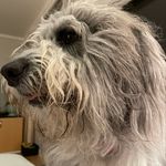 Doris Faust - @faust4497 - Instagram