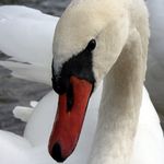 Doris Feldmann - @feldmanndoris - Instagram