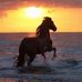 Doris Feldmann - Facebook