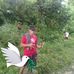Feyer Torres - Facebook