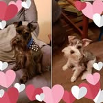 Doris J. Ferguson - @doris.j.ferguson - Instagram