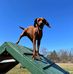 Doris Fitzpatrick Goody - Facebook