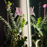 Doris Unterrainer - @doris.unterrainer.flowers - Instagram