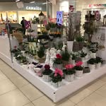 Kwiaciarnia Doris Flowers - @kwiaciarnia_doris_flowers - Instagram