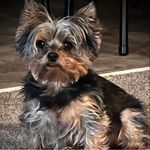 Doris Floyd - @dorisann1948 - Instagram