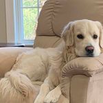 Doris Floyd Morrison - @dmorrison_10 - Instagram