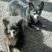 Doris Ford - Facebook