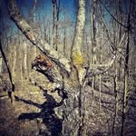 Doris Fuller - @dorisfuller40 - Instagram