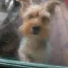 Doris Fuller - @doris.fuller00 - TikTok