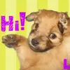 dorisfuller913 - @dorisfuller913 - TikTok