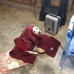Doris Funk - @funk87972649 - Instagram