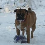 Doris Gaines - @doris.gaines.16 - Instagram
