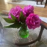 Doris Bender - @dorisgarrisonbender - Instagram