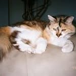 Doris - @doris_garrison - Instagram