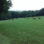 Doris Garrison - @dahgarrison38 - Instagram