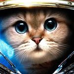 dorisgates - @batmanpuglife - Instagram