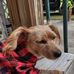 Doris Givens - Facebook