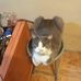 Doris Godoy - Facebook