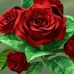 Doris Godoy - Facebook