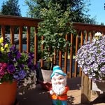 Doris Goetz - @doris.goetz.56 - Instagram