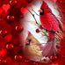 Doris Good - Facebook